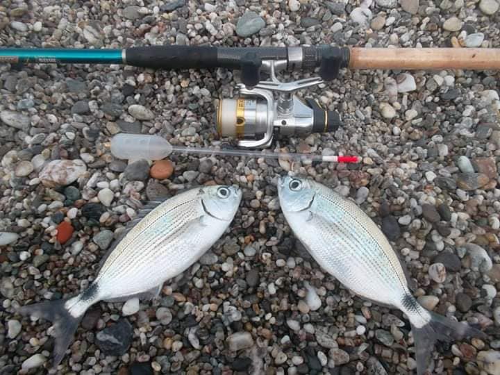 PESCA CON GALLEGGIANTE PASTURATORE