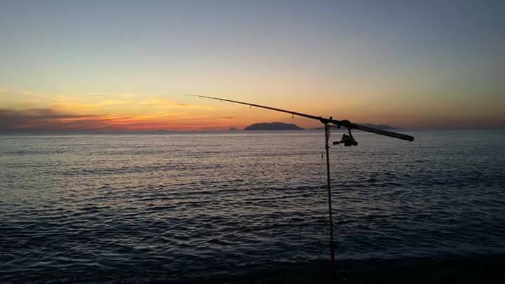 Pesca a Bolognese e Inglese dalla Spiaggia: Tecniche, Attrezzature e Strategie Vincenti.