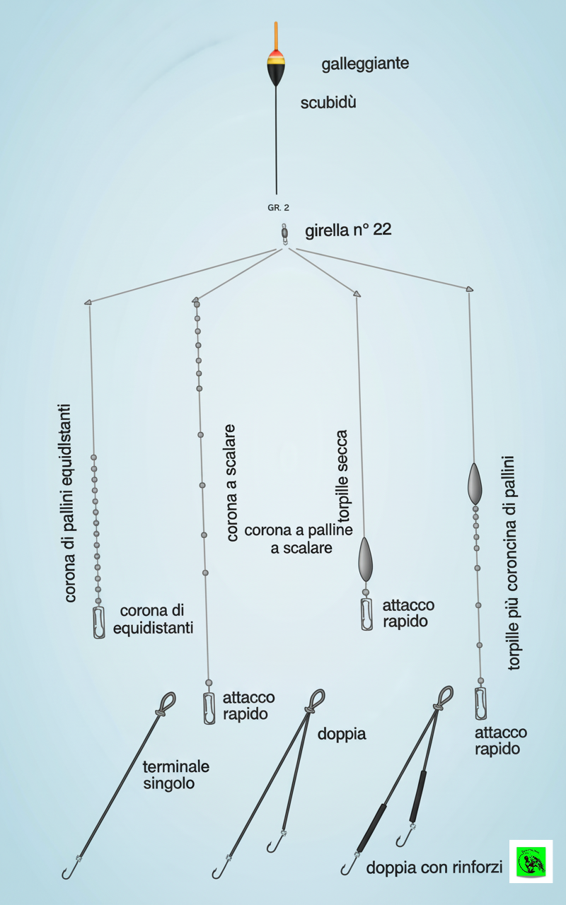 Schemi di piombatura da bolognese con torpille e spallinate, attacchi rapidi e terminali in fluorocarbon.